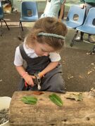 Forest school 2