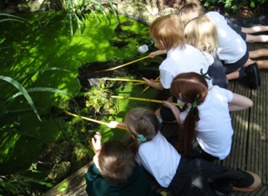 Forest school 12